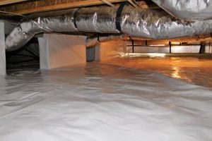 Crawlspace Services