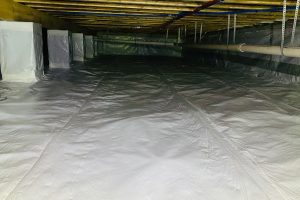 Crawlspace Services Morganfield, KY crawlspace company Basement Waterproofing Crawl Space Services Mold Remediation