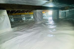 Crawlspace Services Crawl Space Services